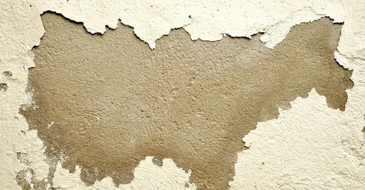 Comparativa de pinturas antihumedad: opciones y precios