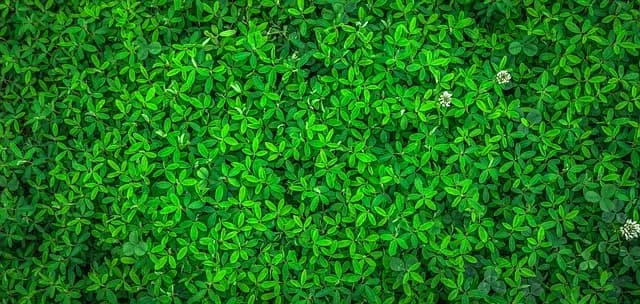 Comparativa de pinturas ecológicas: ¿cuál es la mejor opción?