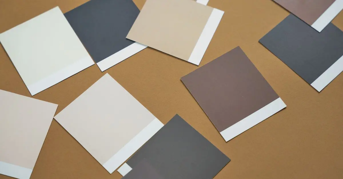 Cómo elegir la pintura adecuada para tus proyectos de renovación