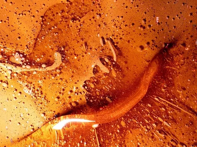 Cómo elegir la pintura adecuada para cada tipo de superficie